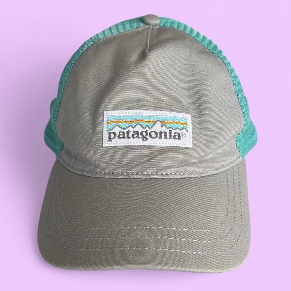 Patagonia Teal and Gray Cap